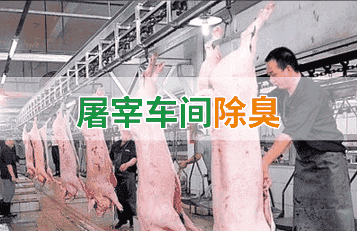 屠宰場臭氣影響周邊環(huán)境？解決辦法在這里-1