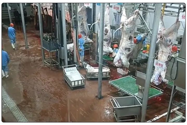 屠宰工廠惡臭影響周邊，使用除臭劑有什么注意要點？