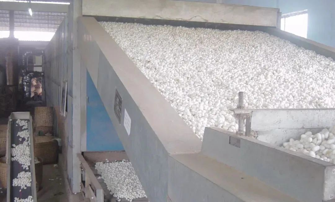 潔匠凈化·的凈工業(yè)除臭劑_繅絲廠(chǎng)“蠶繭烘干惡臭味”，Dejing的凈?除臭創(chuàng)造清新廠(chǎng)房！