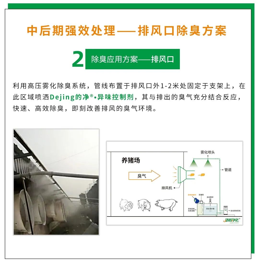Dejing的凈養(yǎng)殖場除臭劑如何迅速清理養(yǎng)殖場臭味？.jpg
