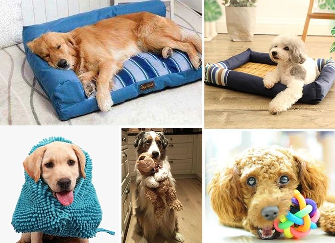 寵物氣味彌漫整個(gè)屋子，潔匠凈化教您如何除味