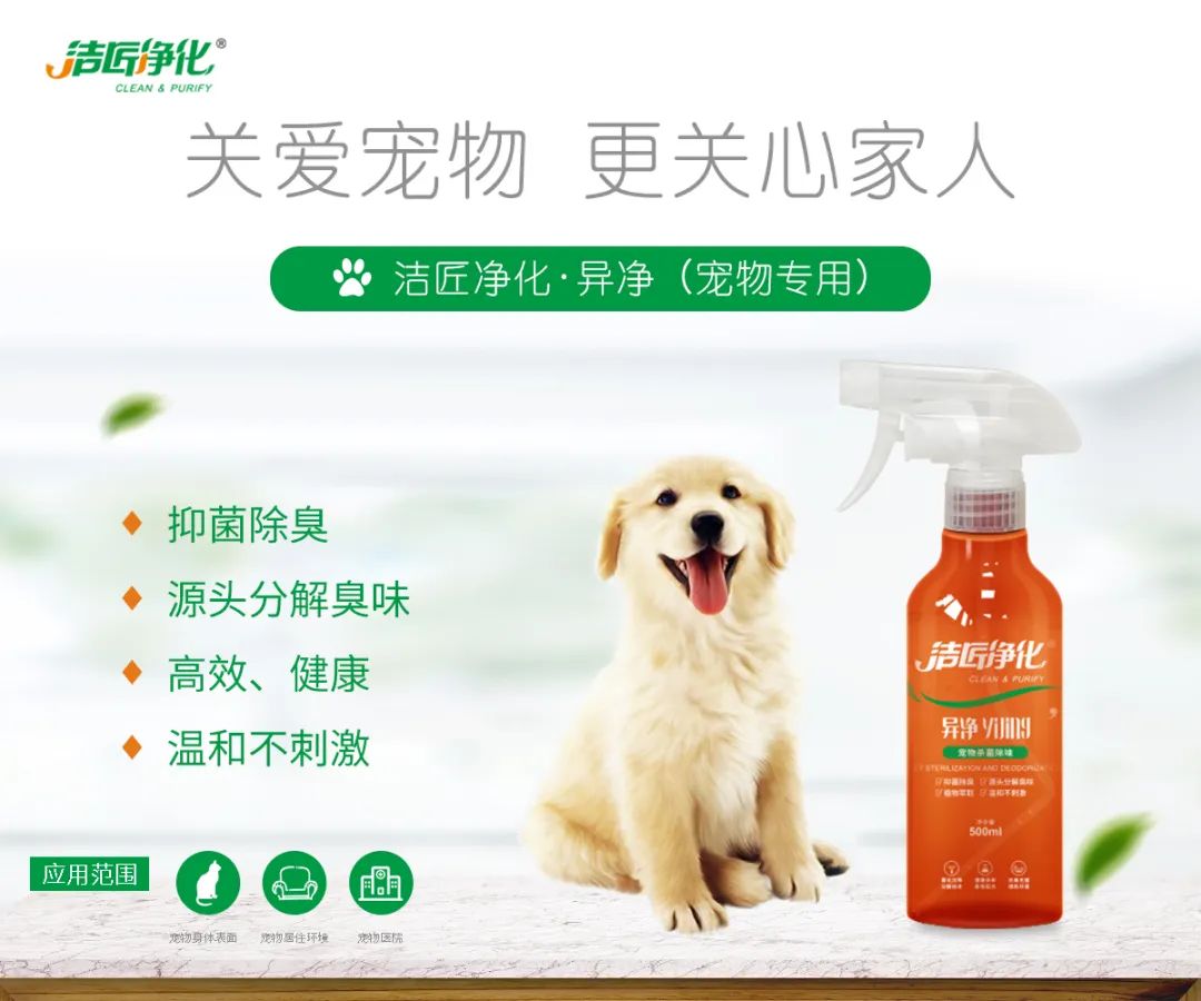 寵物氣味彌漫整個(gè)屋子，潔匠凈化教您如何除味